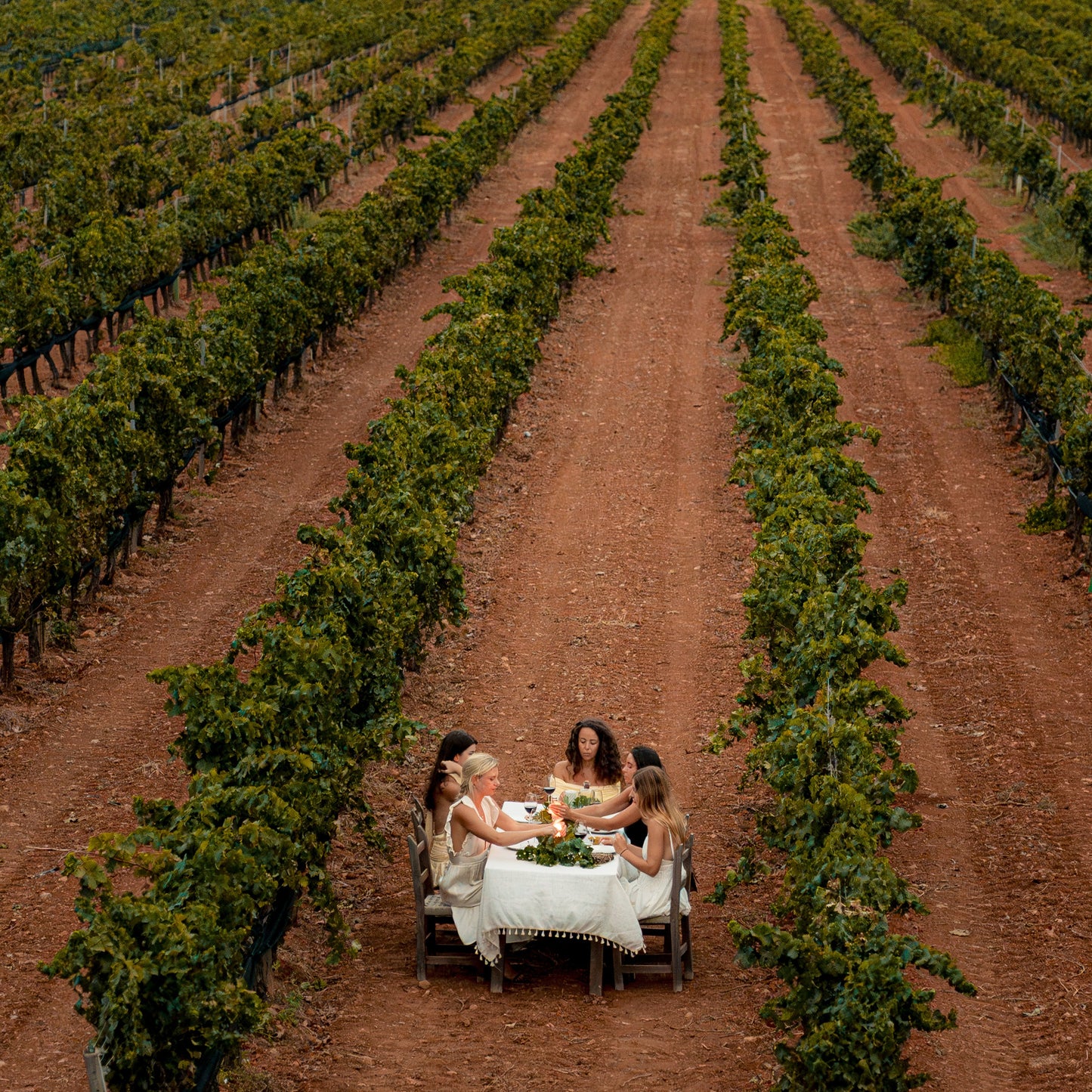 Ibiza: Private Vineyard Wine Tasting + Pick-Up