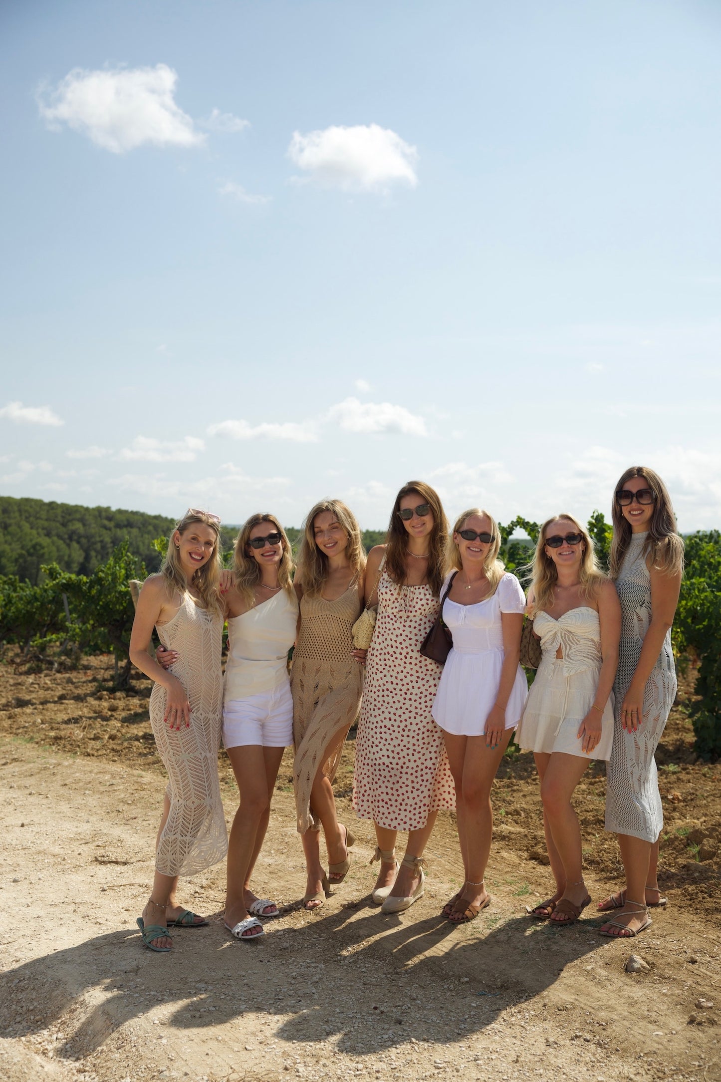 Ibiza: Private Wine Tour with Sea View