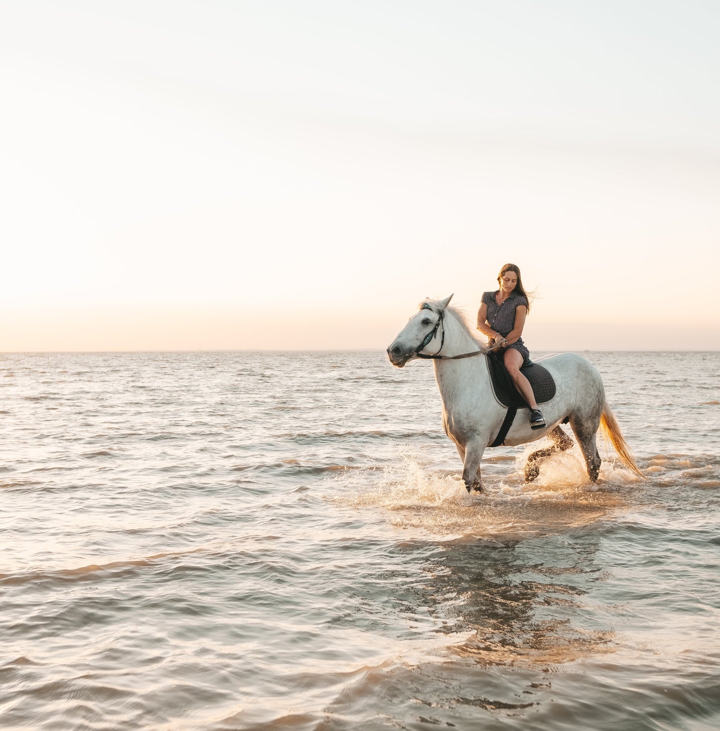 Ibiza: Private Horseback Riding Tour on the Beach with Cava Picnic