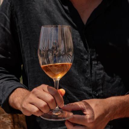 10 facts about how wine is made