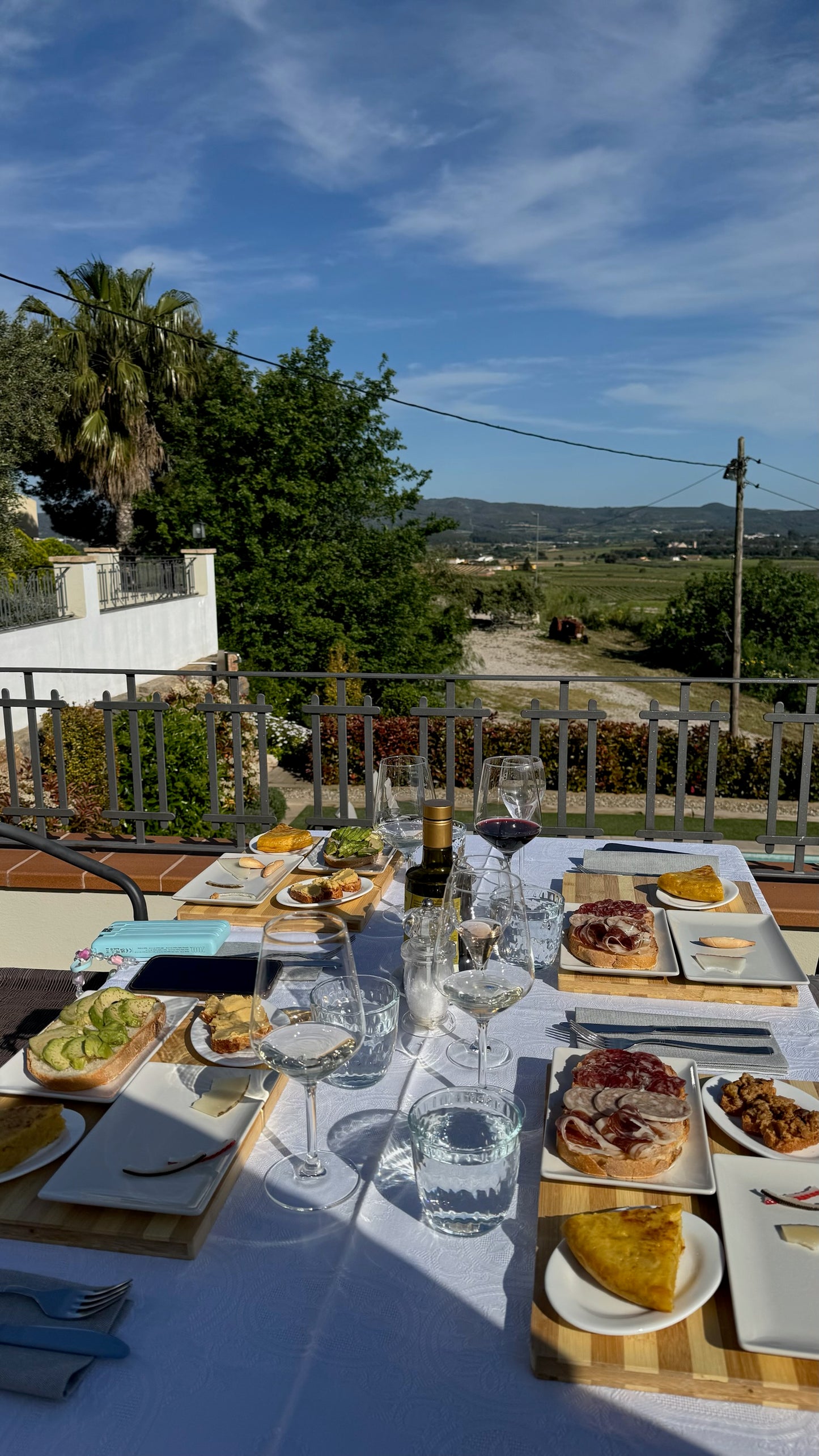 Barcelona: Organic Wine Tasting with Tapas or Brunch