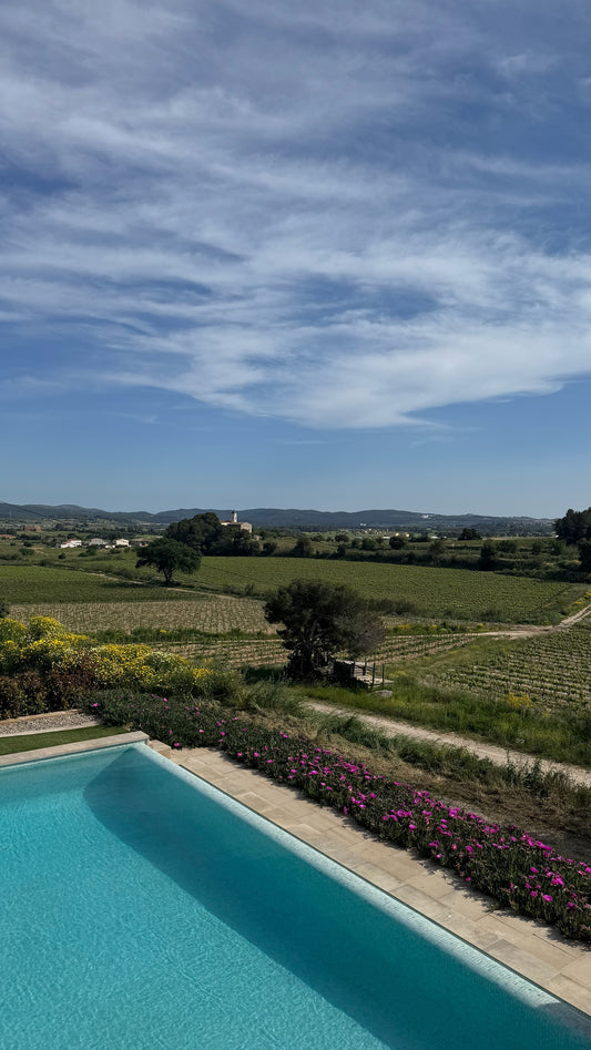 Barcelona: Organic Wine Tasting with Tapas or Brunch