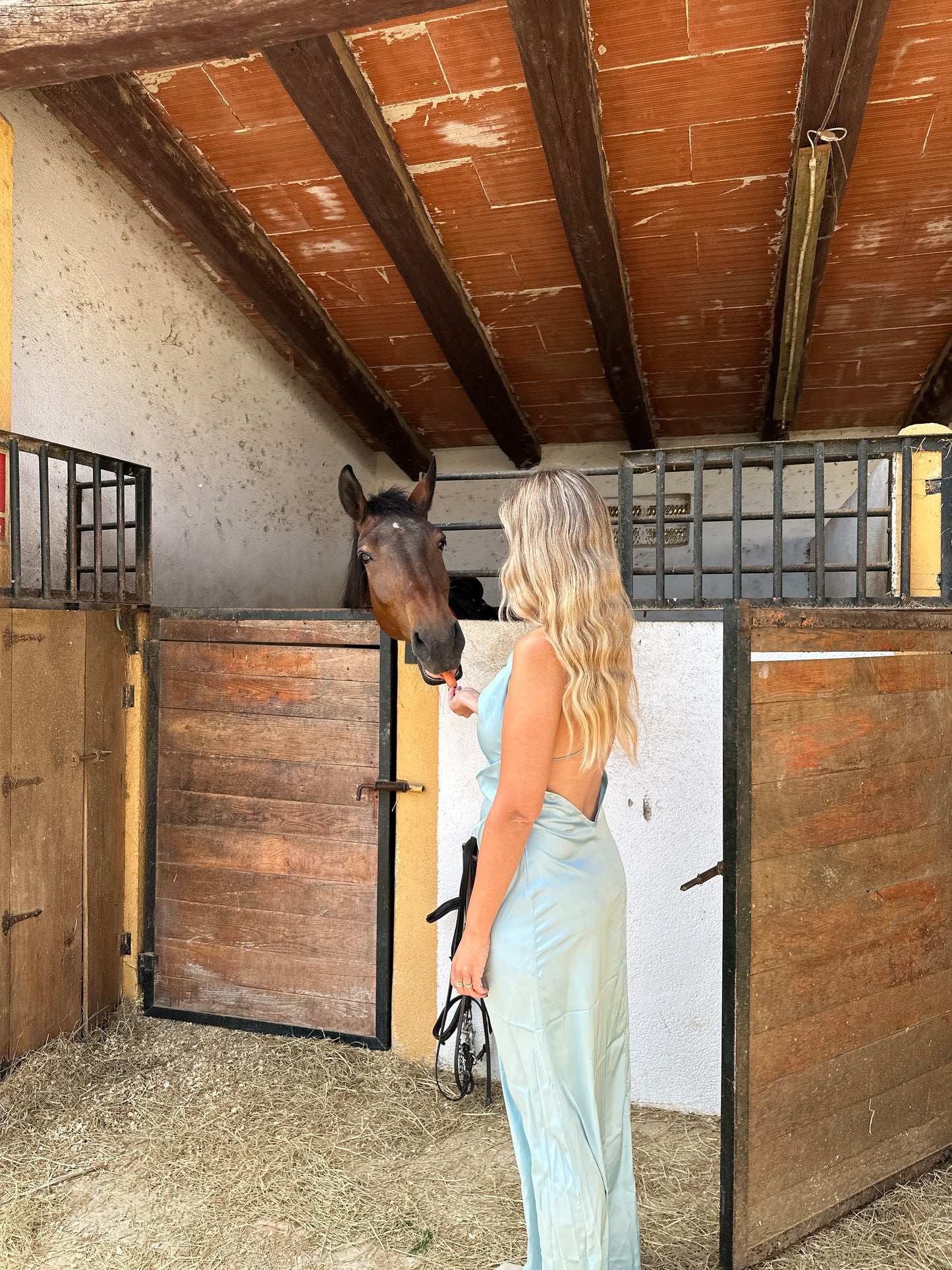 Barcelona: Private Horseback Ride with Picnic or Wine Tasting