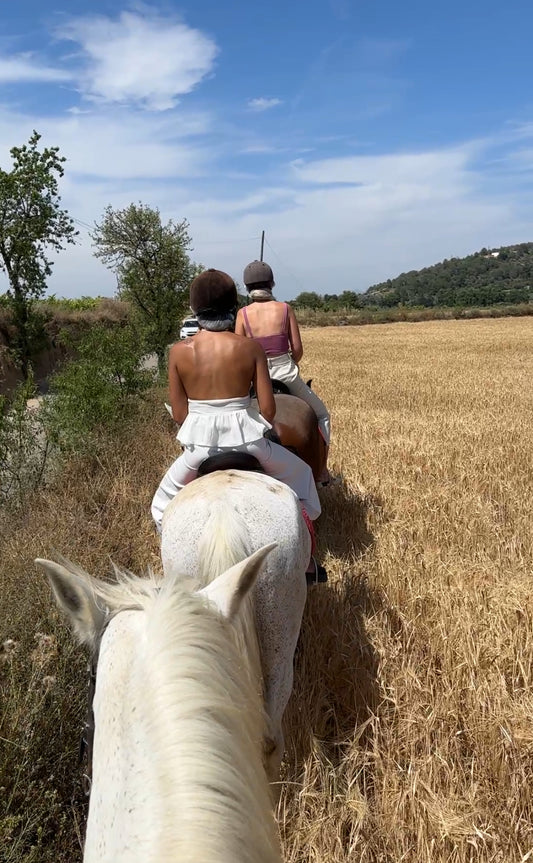 Barcelona: Private Horseback Ride with Picnic or Wine Tasting